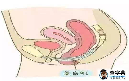 ella自爆的产后漏尿膀胱脱垂这些生娃后遗症可以避免吗