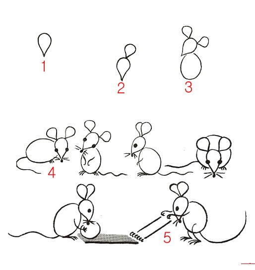 老鼠简笔画4张4