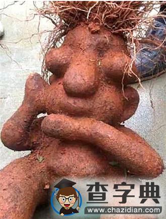 什么鬼？这些孩子一定投错了胎13