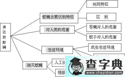 幼儿园大班主题活动：消灭蚊蝇1