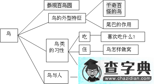 幼儿园大班主题活动：鸟1