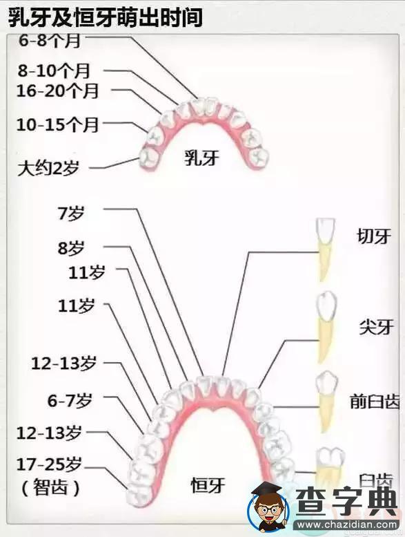 十张图让你对育儿知识一目了然！推荐收藏10