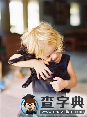 暖暖哒！孩子与萌宠の温情时刻7