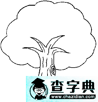 大树简笔画：美丽的大树1