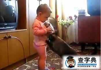     萌娃与猫妈争夺宝宝 被KO1