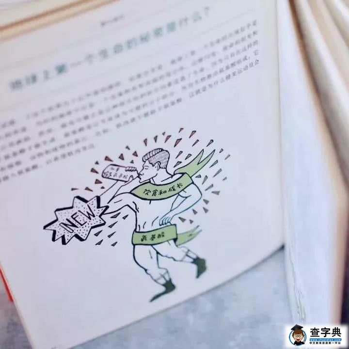 一切从好奇心开始！这本书令孩子对世界满怀热情5