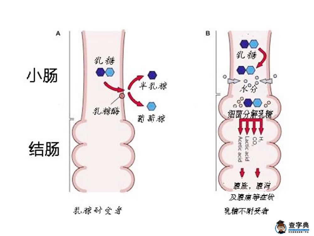 换季时频发“宝宝腹泻”，家长学会科学应对，孩子也能少受罪2