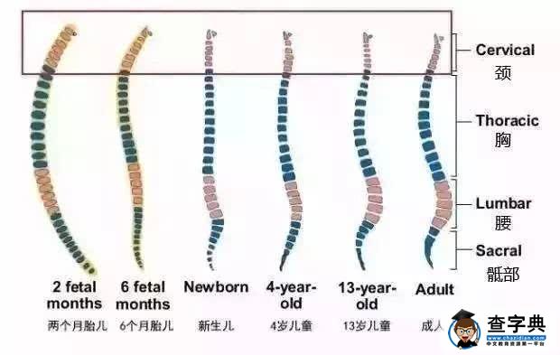 宝宝什么时候该用枕头？定型枕有没有用？头型该怎么睡？2