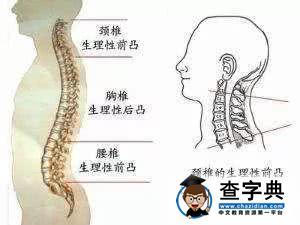 宝宝什么时候该用枕头？定型枕有没有用？头型该怎么睡？1