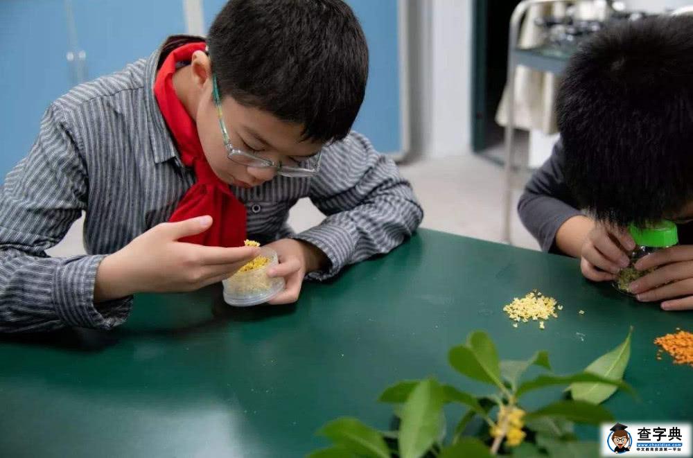 为何孩子做事不够专注？心理学家告诉你：该学学“延时满足”了1