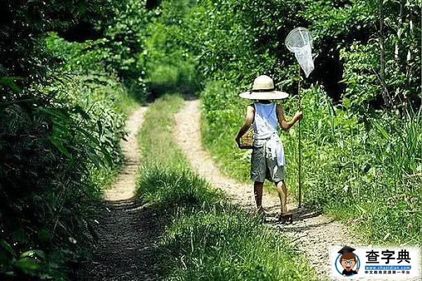 这个世界最不怕虫子的，是孩子，最怕虫子的，是大人11