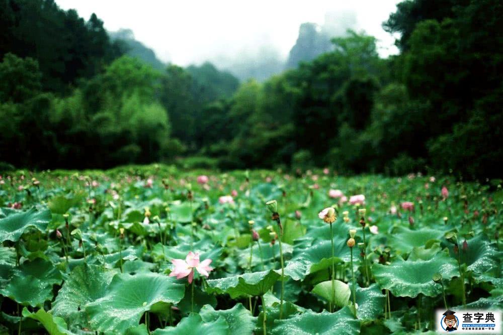 这个世界最不怕虫子的，是孩子，最怕虫子的，是大人4