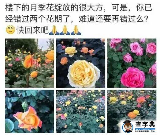 “我把妻子亲手送给了别人”：生离的痛，永远比不上死别！6