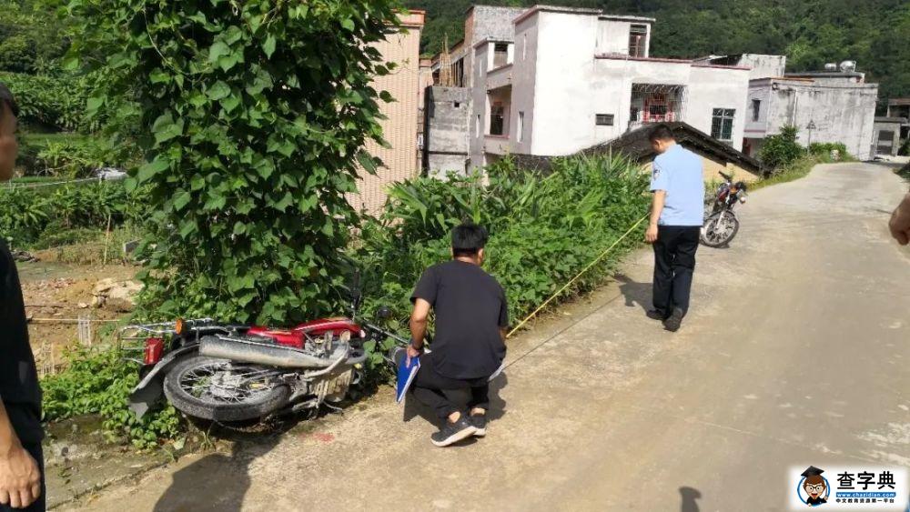 高州3男子戏精附体，不敌警察金睛火眼，7小时破获离奇车祸案2