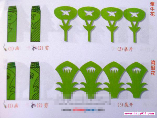 牵牛花。鸡冠花［剪纸方法：二方连续］ - 儿童剪纸1